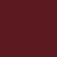 Wine Red RAL 3005