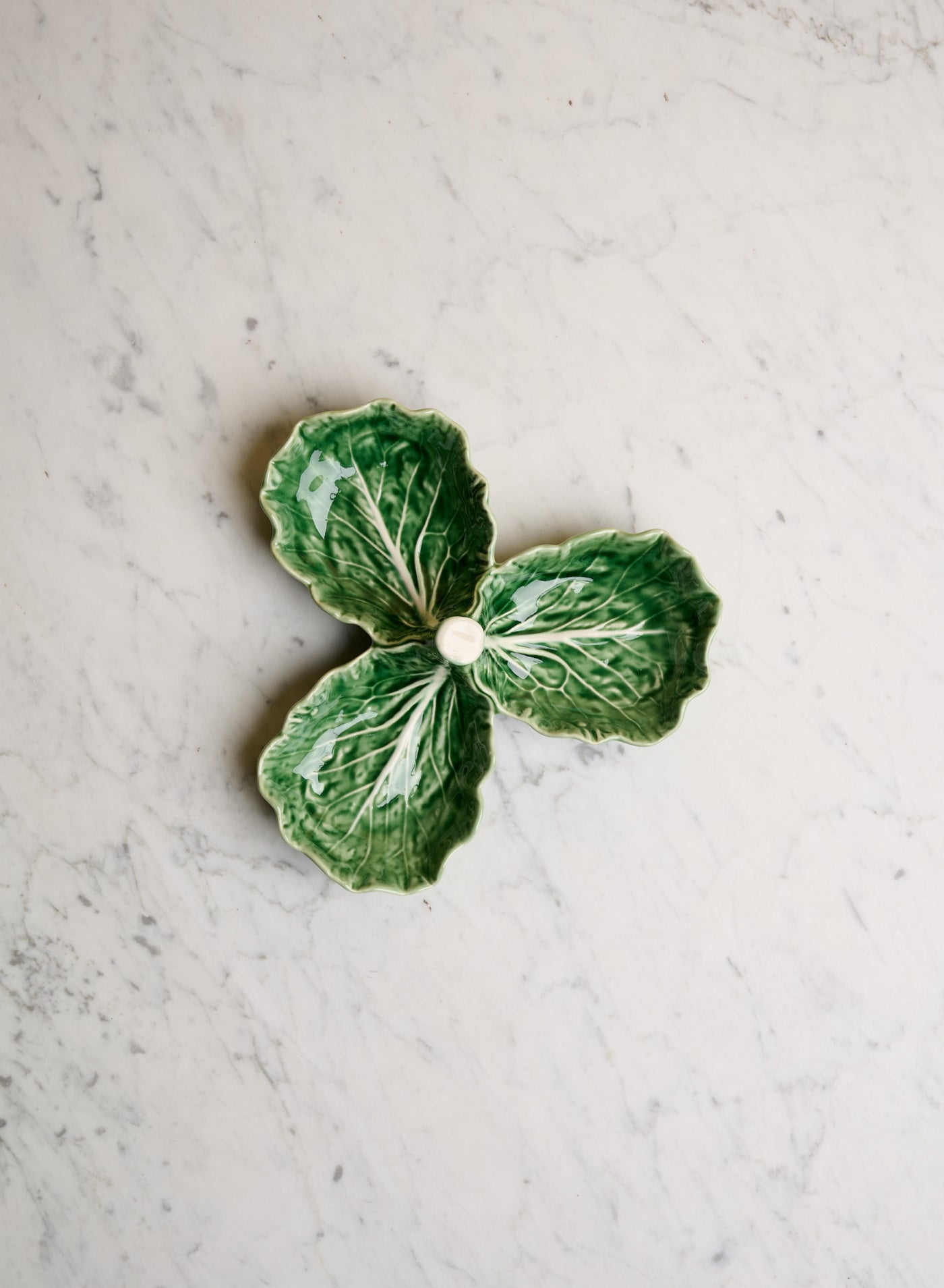 Olivskål Cabbage