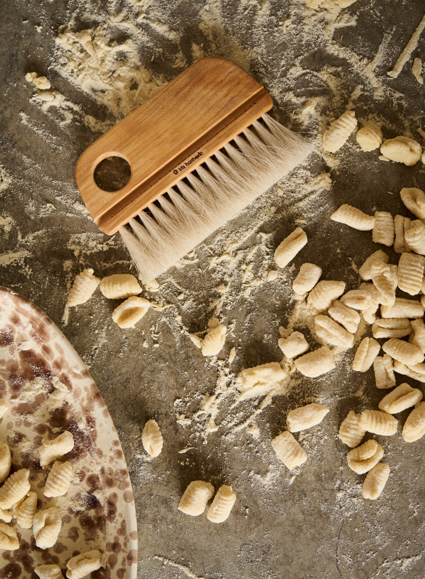 Bakborste Björk & Tagel