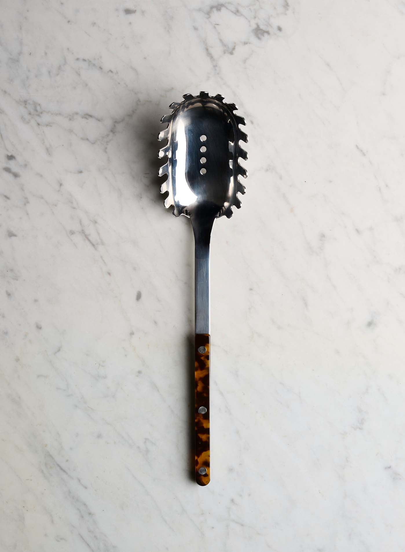 Spagettislev Bistro Tortoise