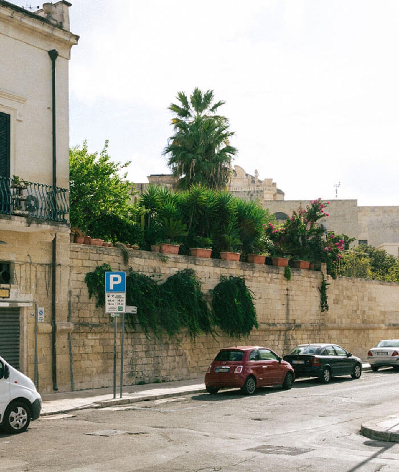 A street in Grottaglie with a limestone wall and palms