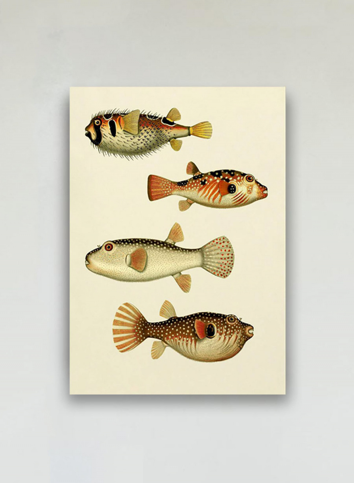 The Fishes Print #3909P