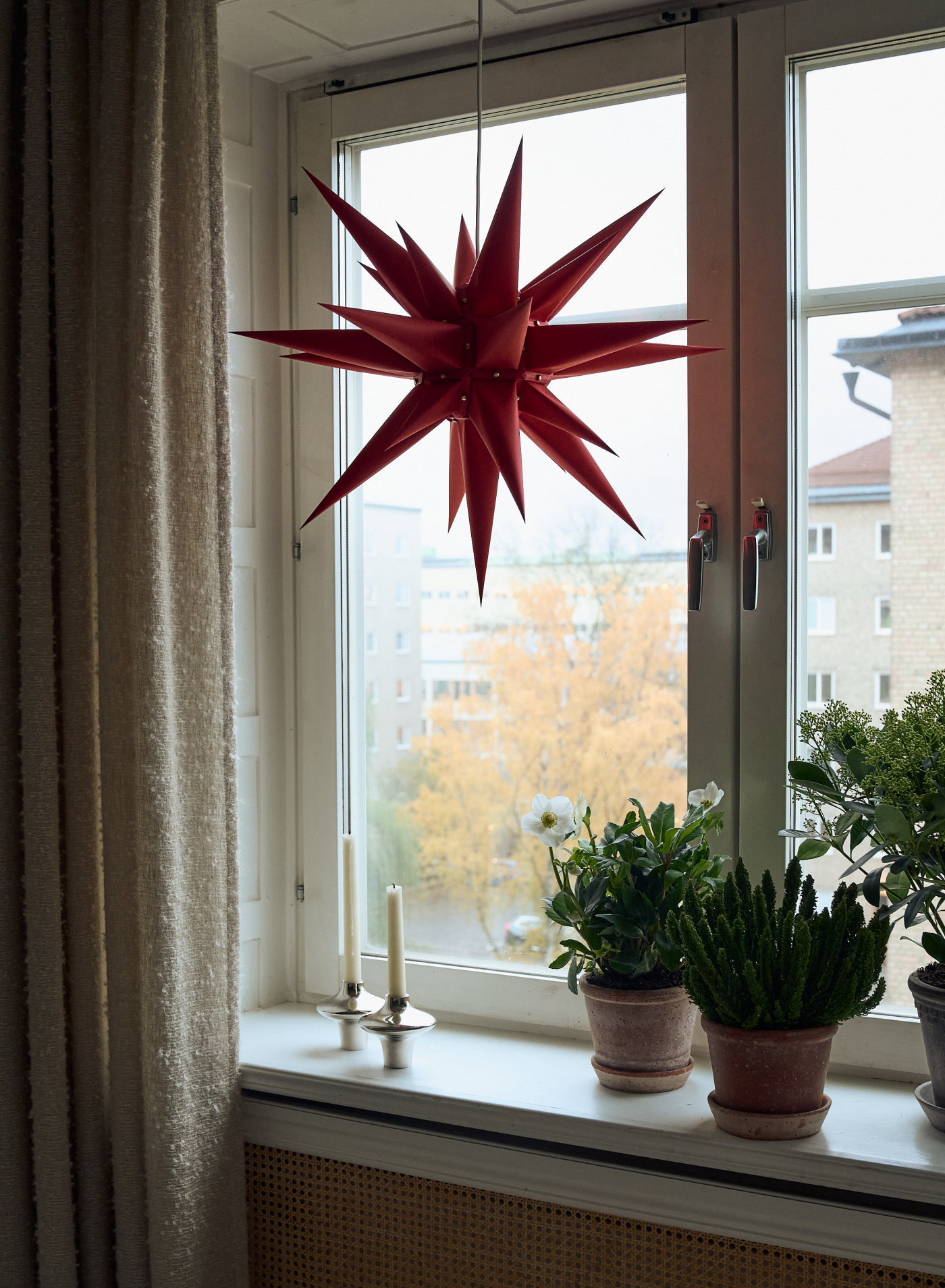 Moravia Star Red 60cm