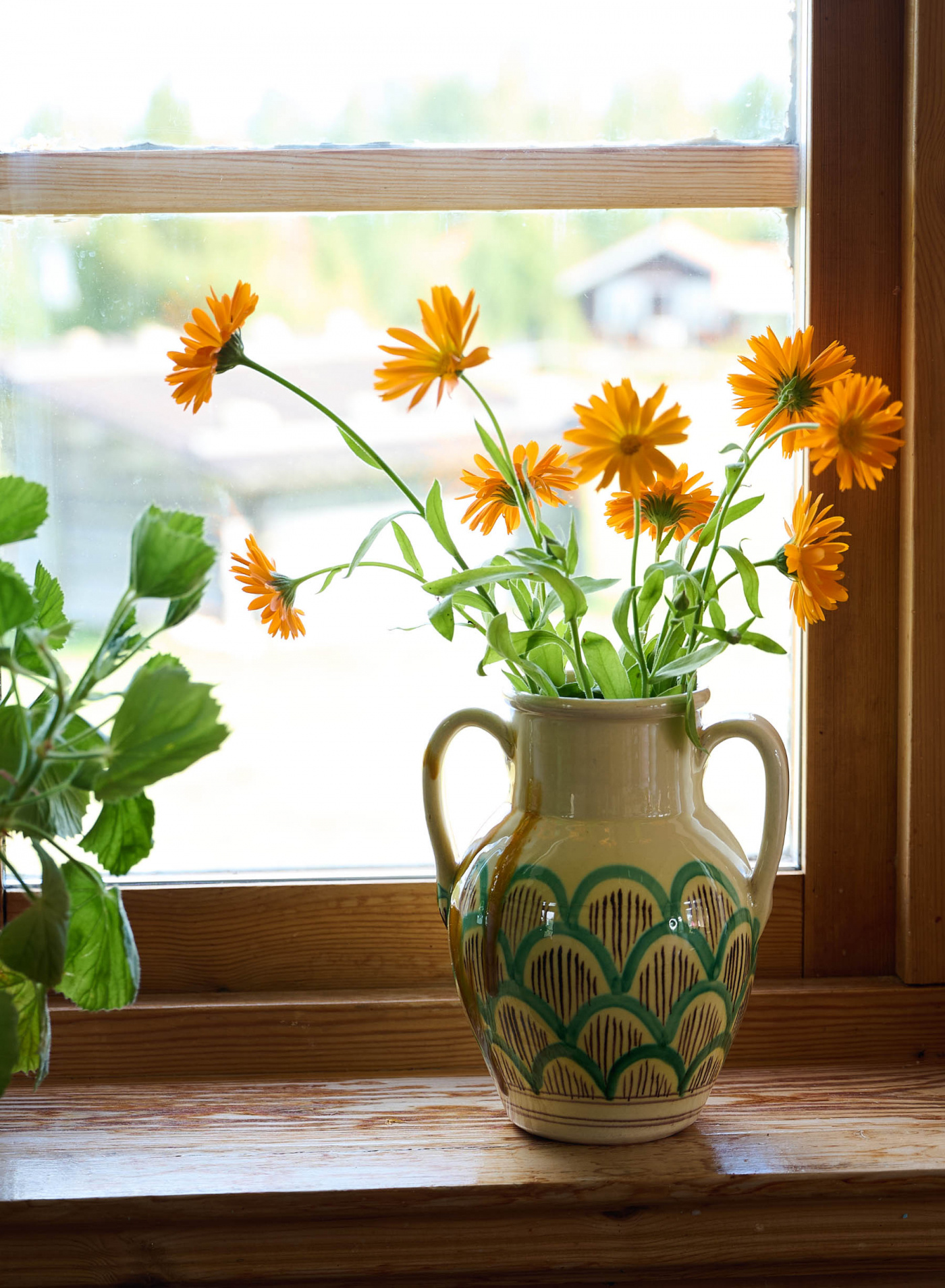 Vas Piccolo Capasoni Vas Piccolo Capasoni