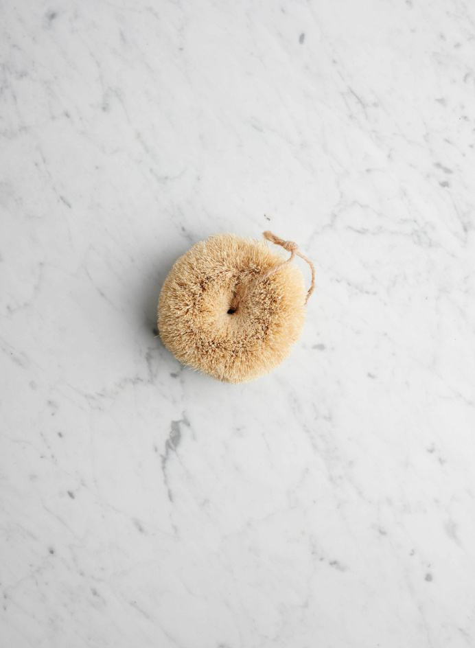 Diskborste i gruppen Kök / Dukning / Kitchen Accessories hos Tambur Store AB (RED325510)